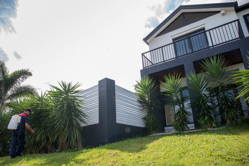 Pest Control For Landed Properties In Singapore Pest Control For Landed Properties In Singapore